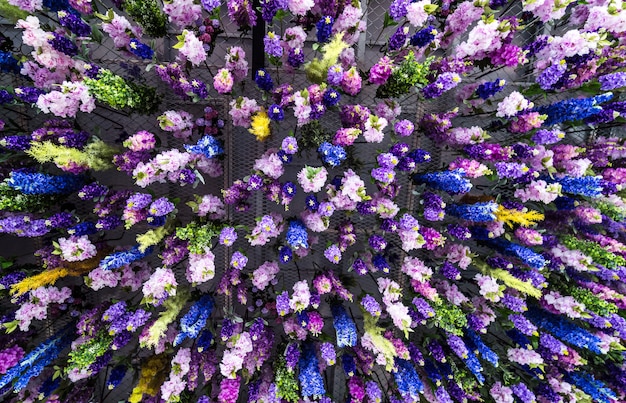 Colorful flowers On the ceiling