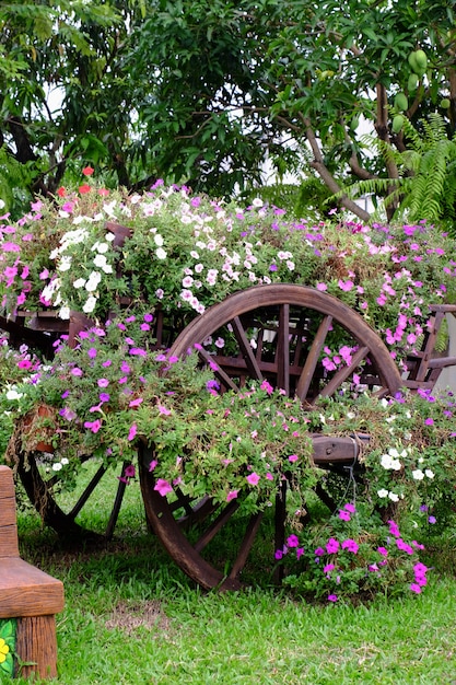 庭の色とりどりの花。プルメリアの花が咲きます。庭の美しい花が夏に咲きます。