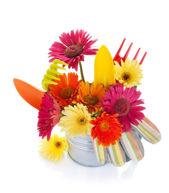 다채로운 꽃과 정원 도구