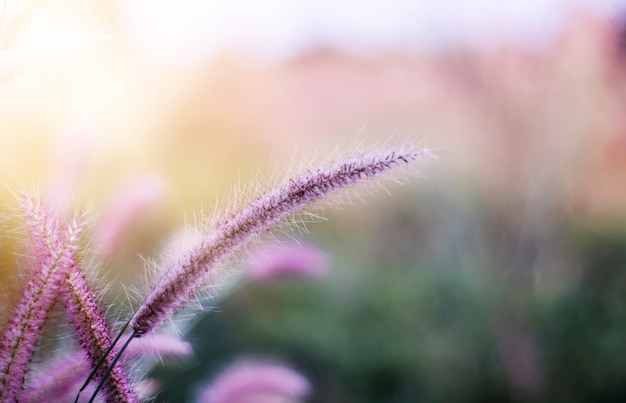 背景のグラデーションで作られた色とりどりの花草