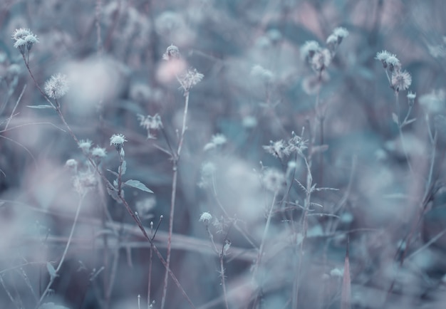 Colorful flowers grass made with gradient for background