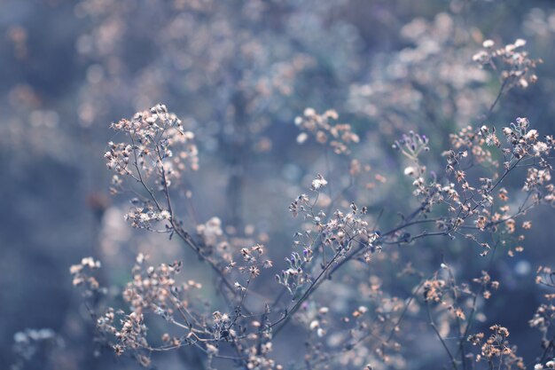 背景のグラデーションで作られた色とりどりの花草