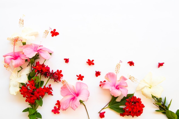 カラフルな花ハイビスカスアカネ科アレンジメントポストカードスタイル