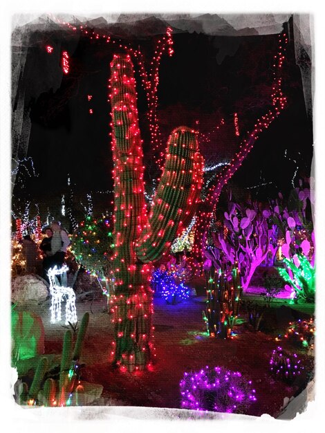 Photo colorful flowers at night