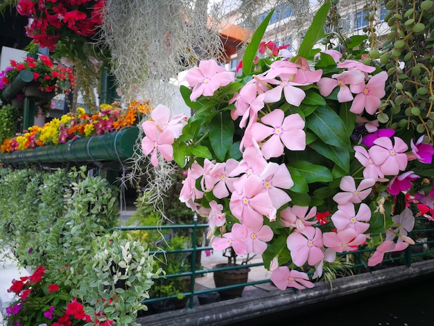 Colorful of flowers on the way in congratulations ceremony