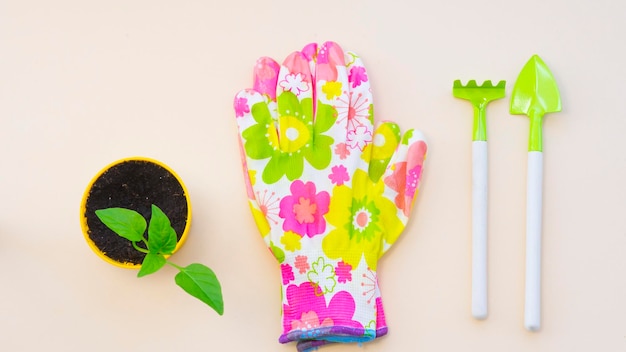 A colorful flowery glove next to a plant pot and a plant