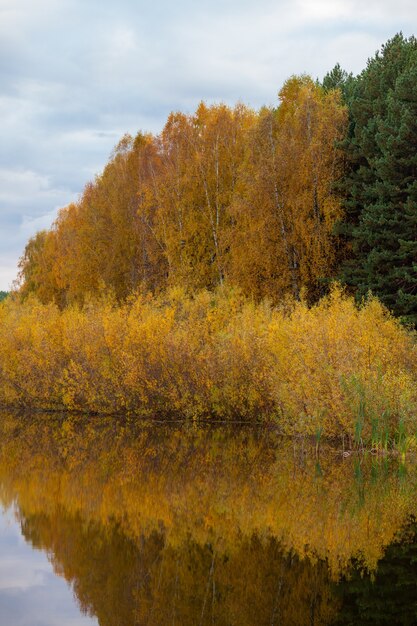 Colorful foliage tree reflections in calm pond water on a beautiful autumn day. A quiet and beautiful place to relax.