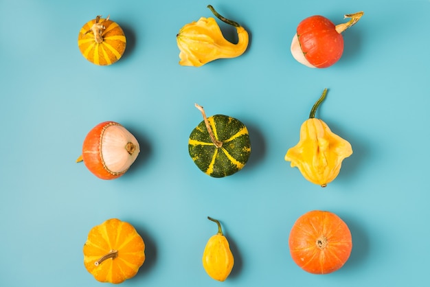 Colorful food pattern of pumpkins and squashes