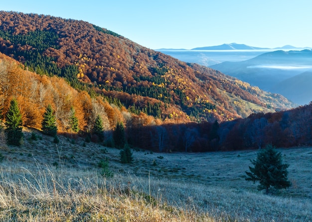 Colorful forest on autumn slope and clouds between the peaks.