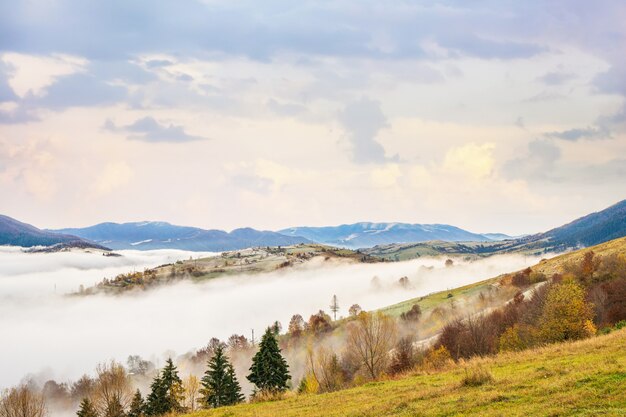 Colorful forests in the warm Carpathian mountains covered with thick gray fog