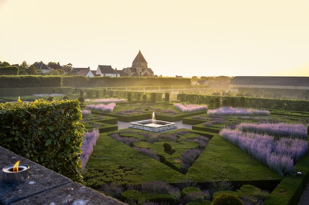 Colorful formal garden at sunset with a mysterious light