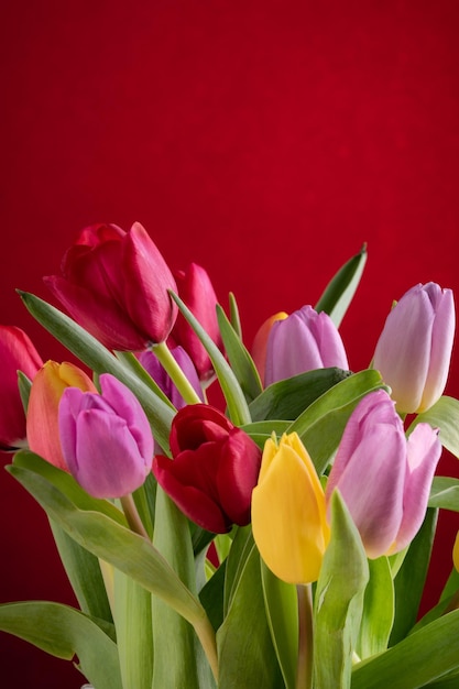 국제 여성의 날을 위한 다채로운 신선한 튤립 꽃다발