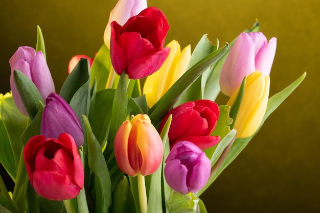 Colorful fresh tulip flowers bouquet for international woomens day