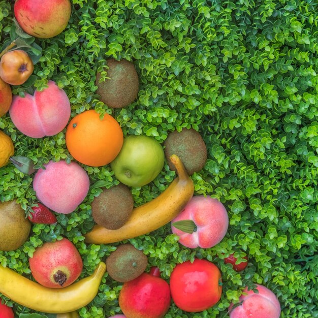 Foto frutta colorata sullo sfondo dell'erba verde