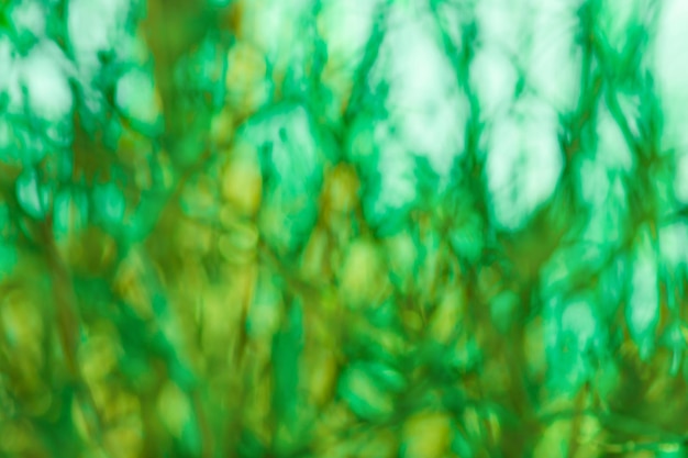 Colorful green defocused texture for your design Blurred green natural background with bokeh