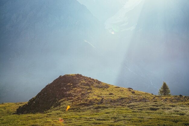 Colorful green landscape with lonely tree near hill on background of giant mountain wall in sunlight