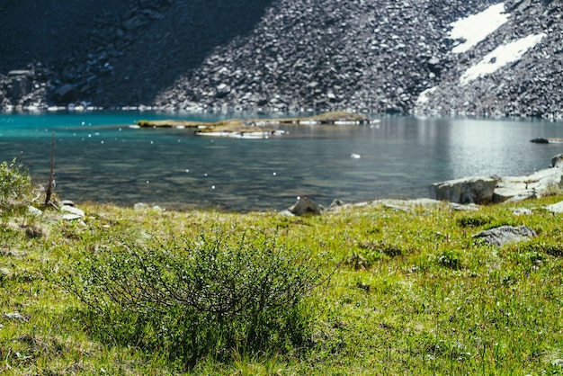山の湖の近くの野生の植物とカラフルな緑の風景。ターコイズブルーの水面に日当たりの良いきらめきのある美しい風光明媚な風景。日光の下で紺碧の氷河湖。氷河湖の反射光。