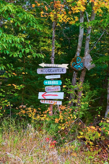 Colorful Handmade Forest Direction Signs in Autumn