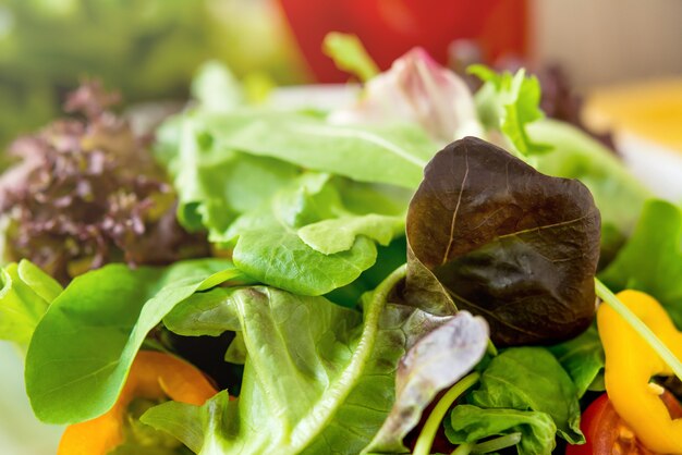 Foto insalata di verdure fresca sana variopinta della miscela