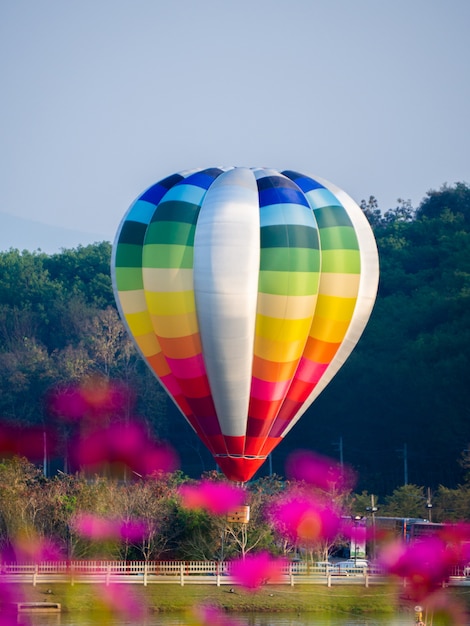 Photo colorful hot air balloon flying over cosmos flowers