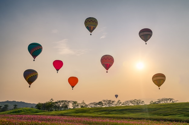 Colorful hot air balloons on cosmos field