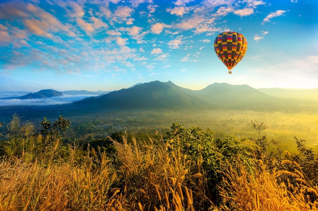 Colorful hot air balloons flying over mountain at Dot Inthanon in Chiang Mai Thailand