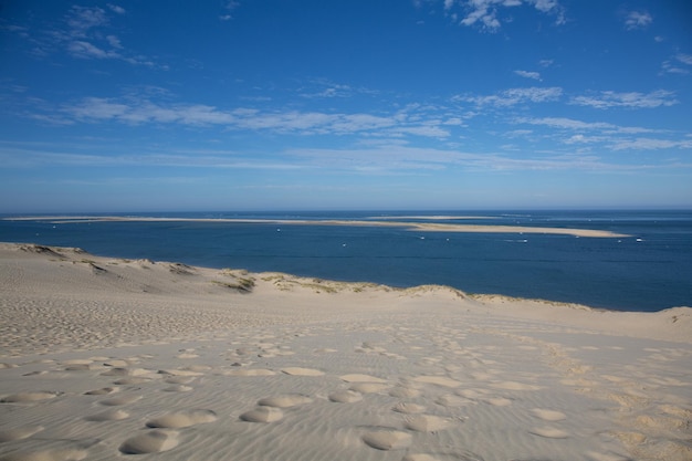 Paesaggio variopinto variopinto di estate della spiaggia con l'onda dell'oceano e