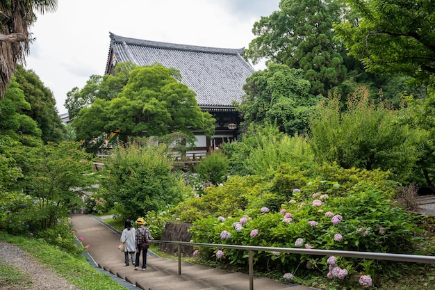 カラフルなホルテンジア チシャクイン 寺院の庭園 ヒガシヤマク 京都 日本