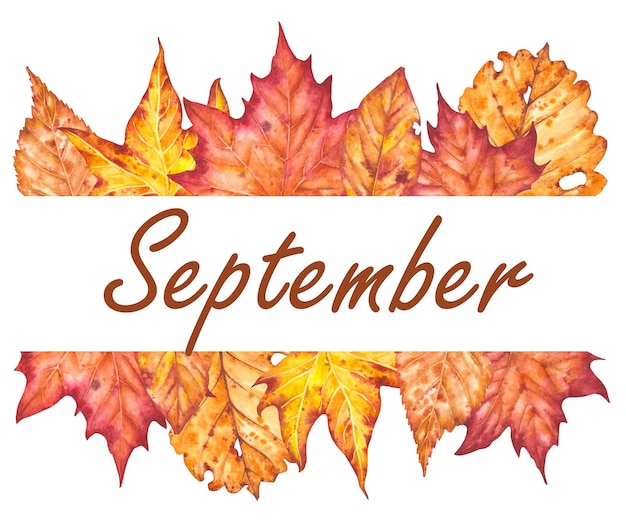 a colorful illustration dedicated to september in the design of a variety of autumn leaves