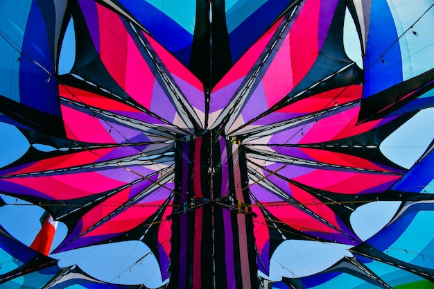 Foto un'immagine colorata di una farfalla con la parola sopra