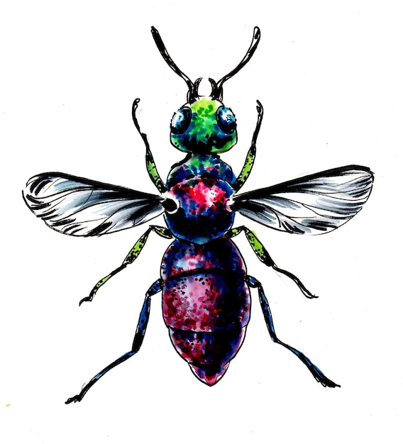 A colorful insect with a rainbow colored head and wings.