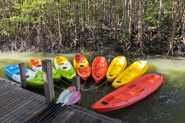 Colorful kayaks with sunlight