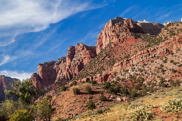 Photo colorful landscape from zion national park utah
