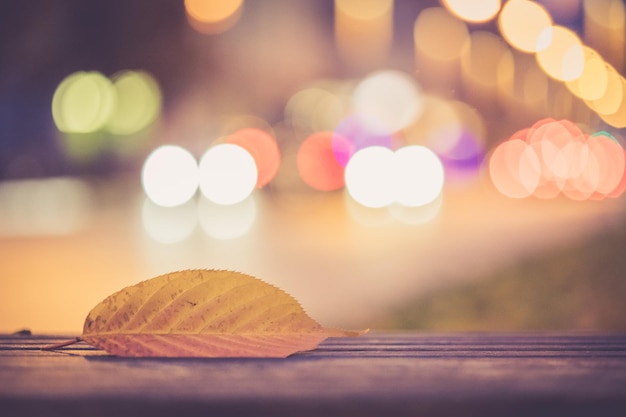 Colorful leaf in the foreground light dots in the background Evening