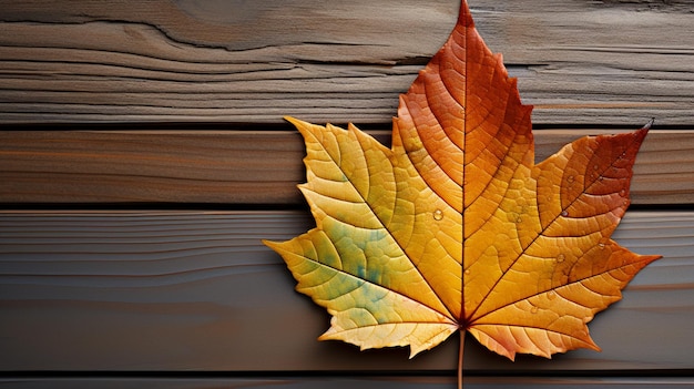 A colorful leaf that has the word autumn on it