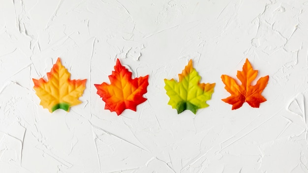 Photo colorful leaves arrangement on white background