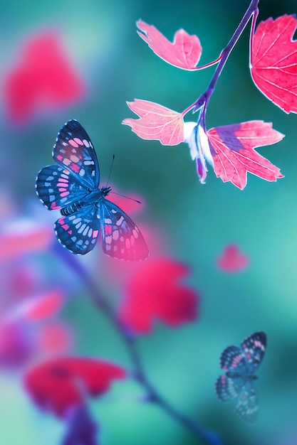 Colorful leaves and butterflies in flight in forest Bright autumn summer natural background Magical nature of autumn