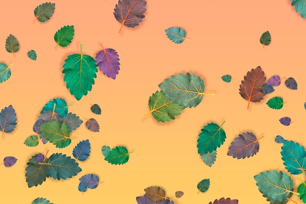 사진 화려한 단풍 떨어지는 가을 개념