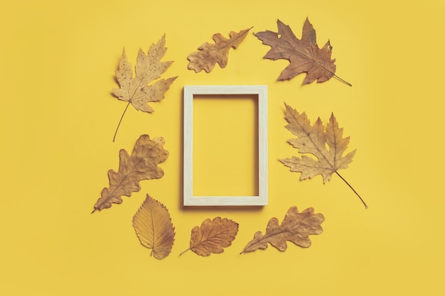 Colorful leaves frame on yellow background with copy space. Halloween or thanksgiving concept.