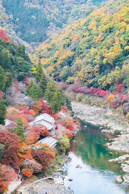 아라시야마(Arashiyama) 경관 랜드마크의 다채로운 잎 산과 카츠라 강(Katsura river)은 교토 일본 가을 시즌 휴가 및 관광 개념의 관광 명소로 유명합니다.