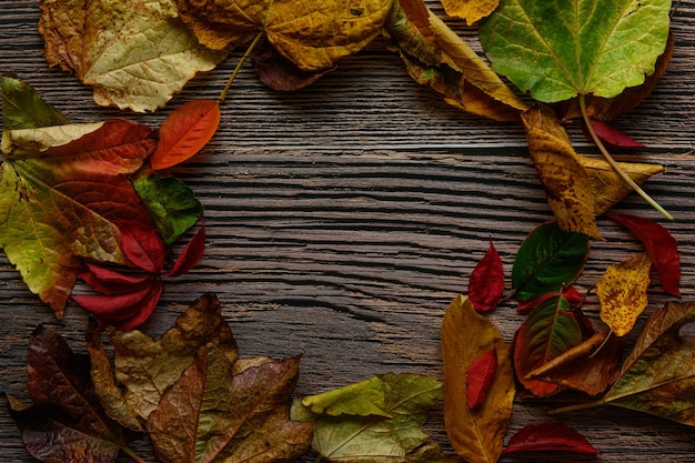 写真 コピー スペースを持つ茶色の木製の背景に紅葉