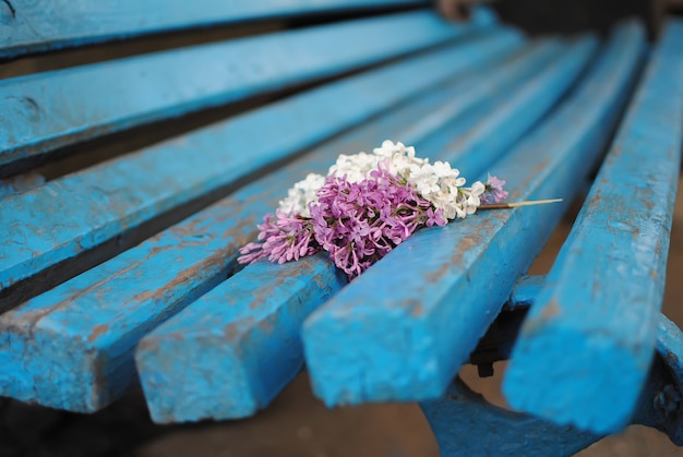 Colorful lilac branch lying on a bench in the park