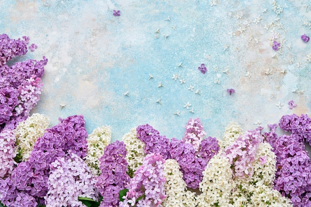 Colorful lilac flowers border on pastel background.