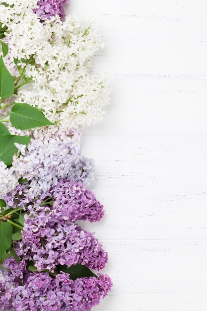 Colorful lilac flowers