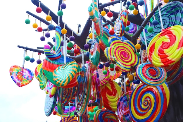 Colorful Lollypop balloon hanging on the tree