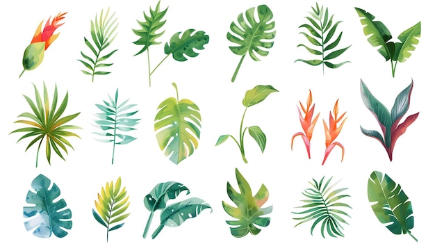 colorful and lush tropical foliage backdrop with diverse exotic plant leaves