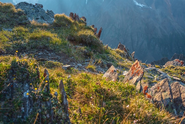 Colorful mountain scenery on abyss edge with sharp stones among green flora in sunlight Sunny view from cliff at very high altitude Scenic alpine landscape with beautiful sharp rocks in sunshine