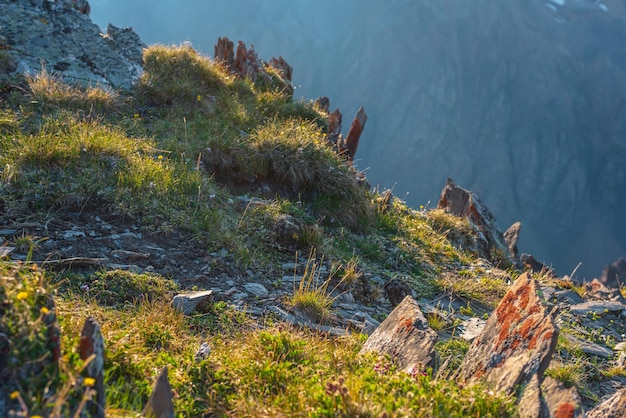 Colorful mountain scenery on abyss edge with sharp stones among green flora in sunlight Sunny view from cliff at very high altitude Scenic alpine landscape with beautiful sharp rocks in sunshine