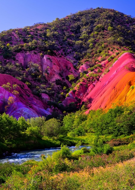 Photo colorful mountain with a river and trees