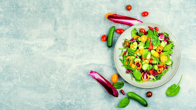 Colorful natural vegetable salad top view